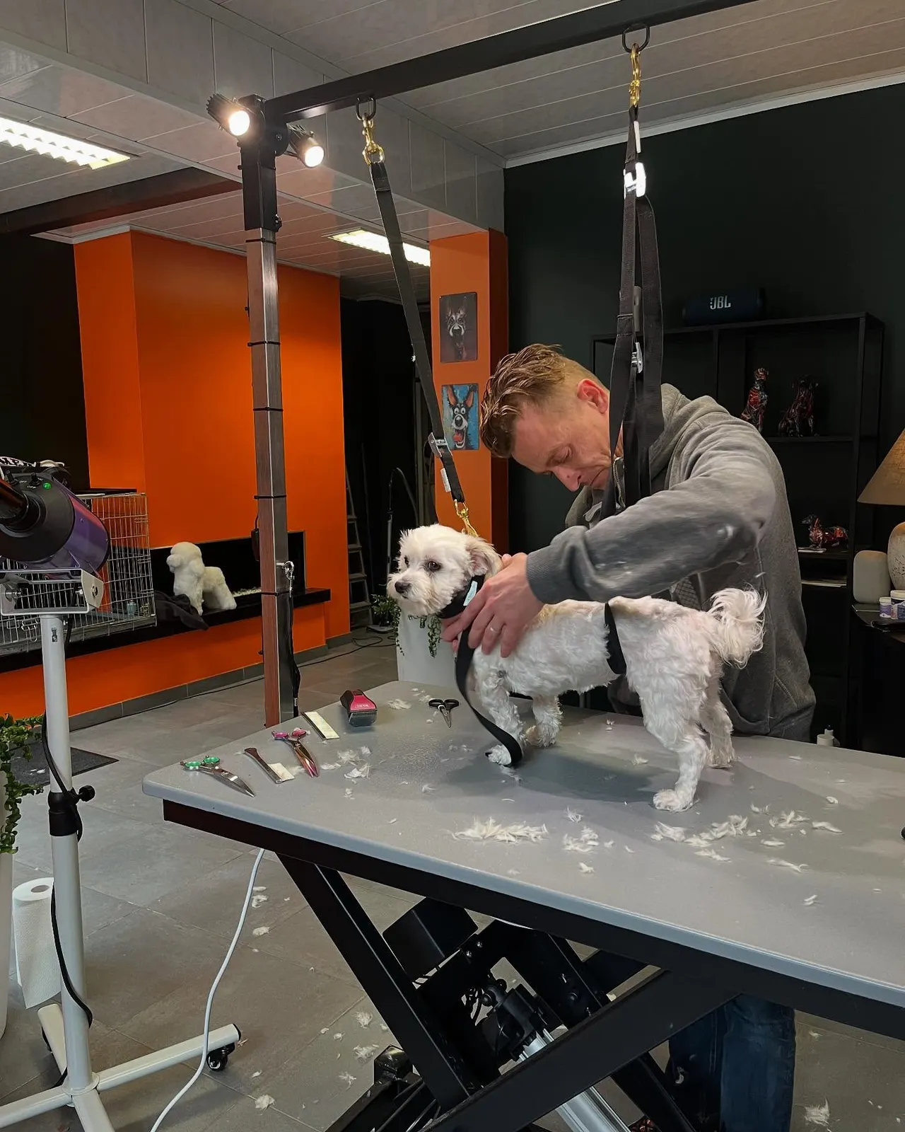 Bart trimt een witte hond in het salon