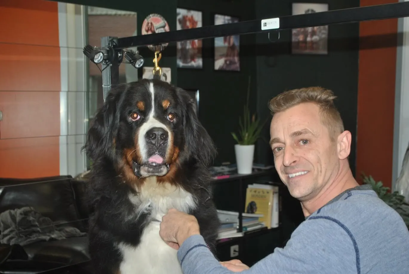 Bart lacht naast een Berner Sennenhond op de trimtafel